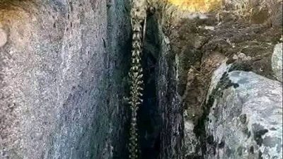 ملك الموت 