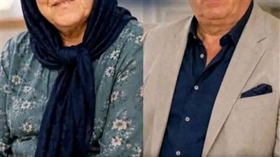 الخادمة التركية 